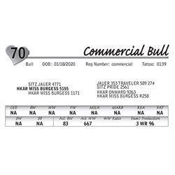 Commercial Bull