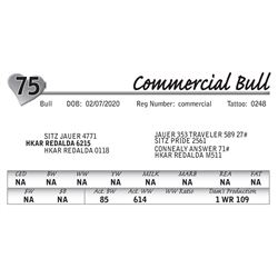 Commercial Bull