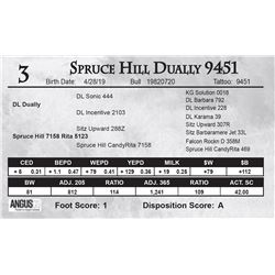 Spruce Hill Dually 9451