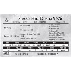 Spruce Hill Dually 9476