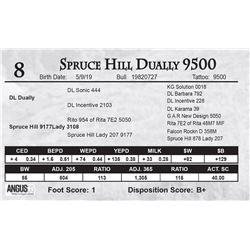 Spruce Hill Dually 9500
