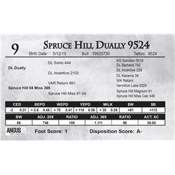 Spruce Hill Dually 9524