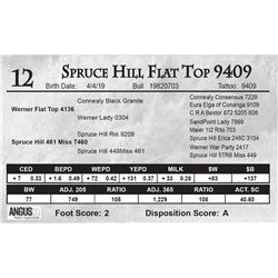 Spruce Hill Flat Top 9409