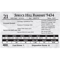 Spruce Hill Rampart 9434