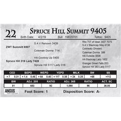 Spruce Hill Summit 9405