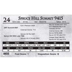 Spruce Hill Summit 9415