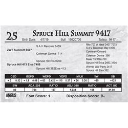 Spruce Hill Summit 9417