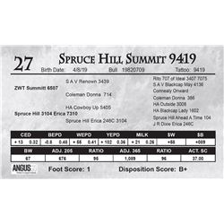 Spruce Hill Summit 9419