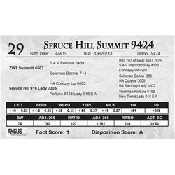 Spruce Hill Summit 9424