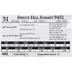 Spruce Hill Summit 9432