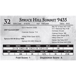 Spruce Hill Summit 9435