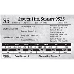 Spruce Hill Summit 9535