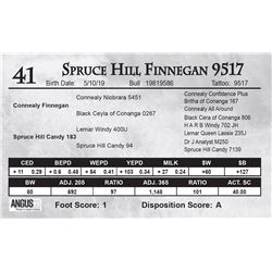 Spruce Hill Finnegan 9517