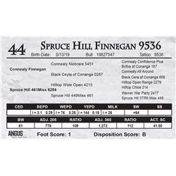 Spruce Hill Finnegan 9536