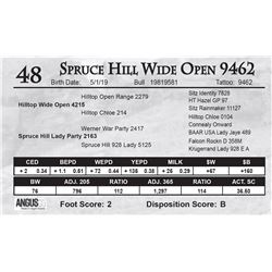 Spruce Hill Wide Open 9462