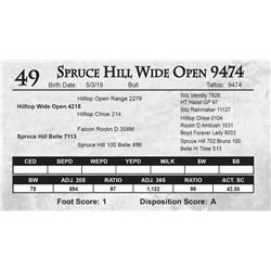 Spruce Hill Wide Open 9474