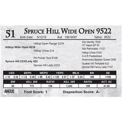 Spruce Hill Wide Open 9522