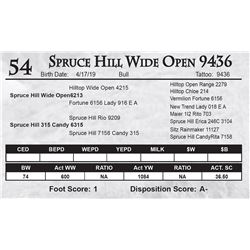 Spruce Hill Wide Open 9436