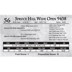 Spruce Hill Wide Open 9438