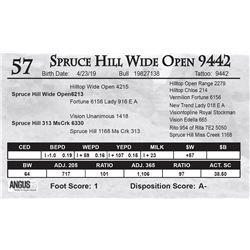 Spruce Hill Wide Open 9442