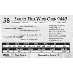 Spruce Hill Wide Open 9449