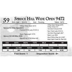 Spruce Hill Wide Open 9472