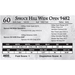 Spruce Hill Wide Open 9482