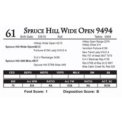 Spruce Hill Wide Open 9494