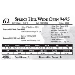 Spruce Hill Wide Open 9495