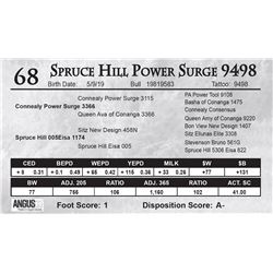Spruce Hill Power Surge 9498