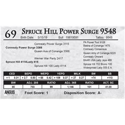 Spruce Hill Power Surge 9548