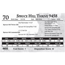 Spruce Hill Thrive 9458