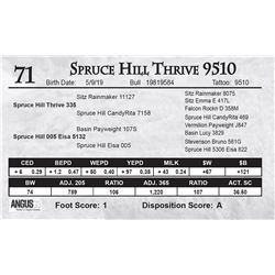 Spruce Hill Thrive 9510