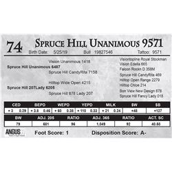 Spruce Hill Unanimous 9571