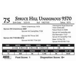 Spruce Hill Unanimous 9570