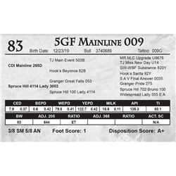 5GF Mainline 009