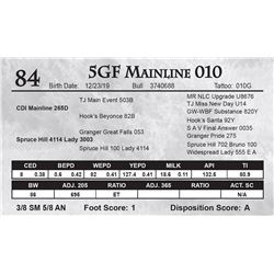 5GF Mainline 010