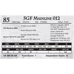 5GF Mainline 012