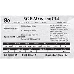 5GF Mainline 014