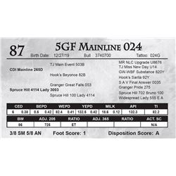 5GF Mainline 024