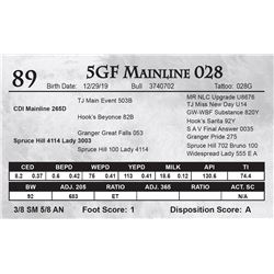 5GF Mainline 028