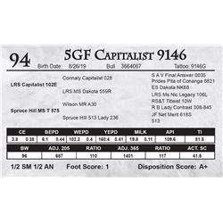 5GF Capitalist 9146