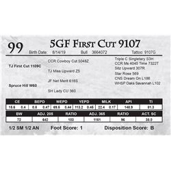 5GF First Cut 9107