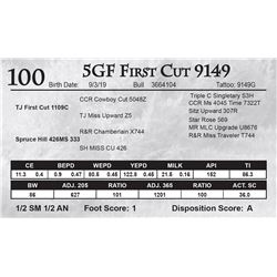 5GF First Cut 9149