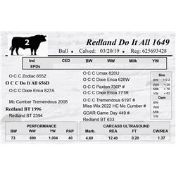 Redland Do It All 1649
