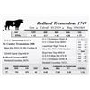 Image 1 : Redland Tremendous 1749