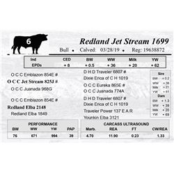 Redland Jet Stream 1699