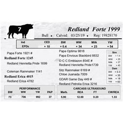 Redland Forte 1999