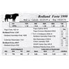 Image 1 : Redland Forte 1999