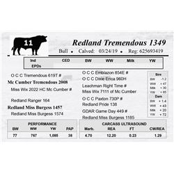 Redland Tremendous 1349